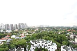 Regency Park (D10), Condominium #594641801